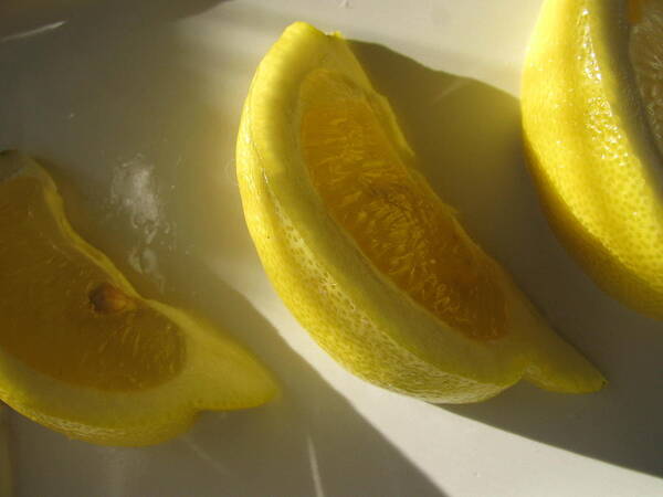  Art Print featuring the photograph Lemon Slices by Lindie Racz