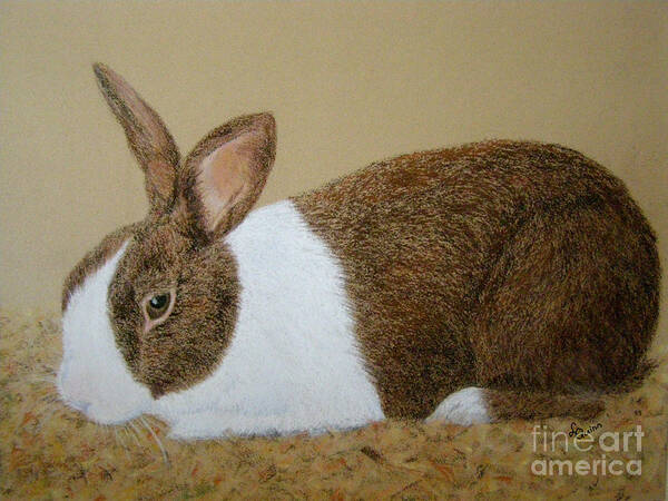 Bunny Art Print featuring the painting Les's Rabbit by Lynn Quinn