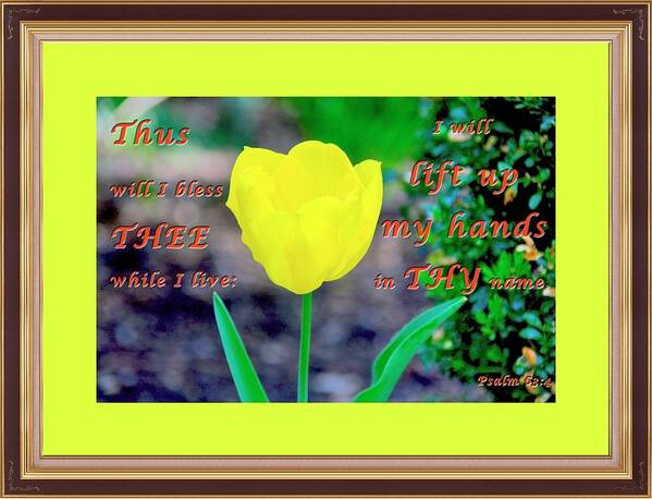 Scripture Art Art Print featuring the photograph Lift Up MY Hands1 by Terry Wallace