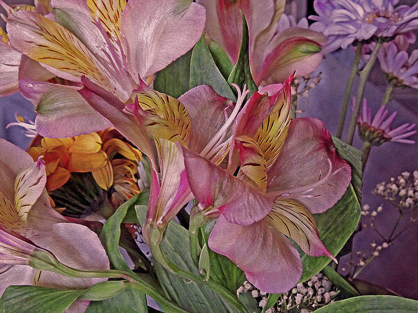 Lily Art Print featuring the mixed media Lily Profusion 7 by Lynda Lehmann