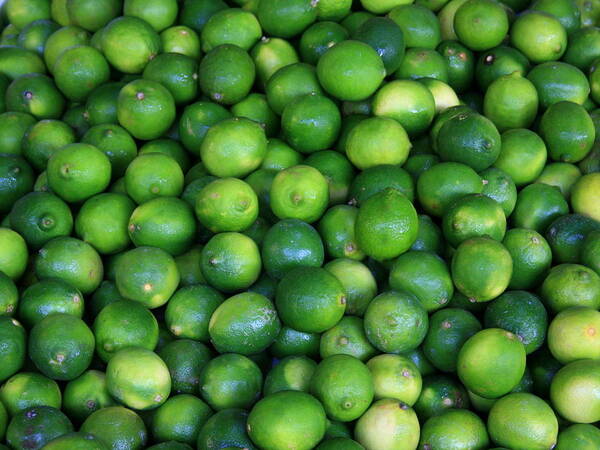 Lime Art Print featuring the photograph Limes by David Dunham