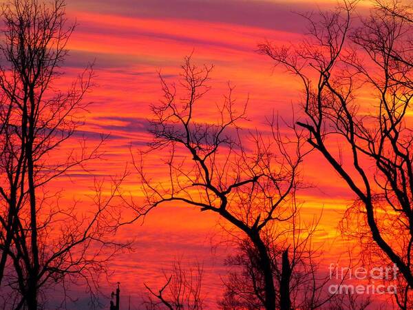Color Art Print featuring the photograph Little More Color At Sunset by Donald C Morgan