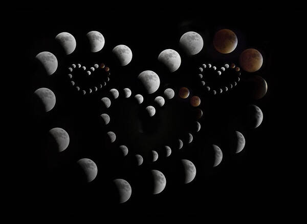 Lunar Art Print featuring the photograph Love You to the Moon and Back by Betsy Knapp
