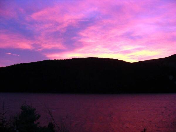 Magenta Sky Art Print featuring the photograph Magenta Sky by Barbara A Griffin
