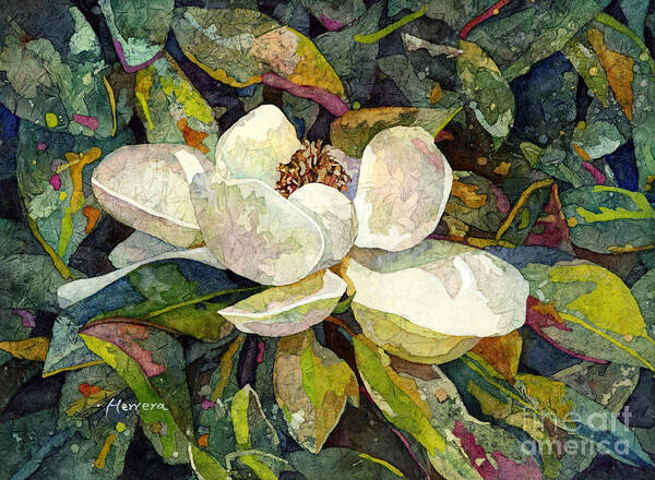 Magnolia Art Print featuring the painting Magnolia Blossom by Hailey E Herrera