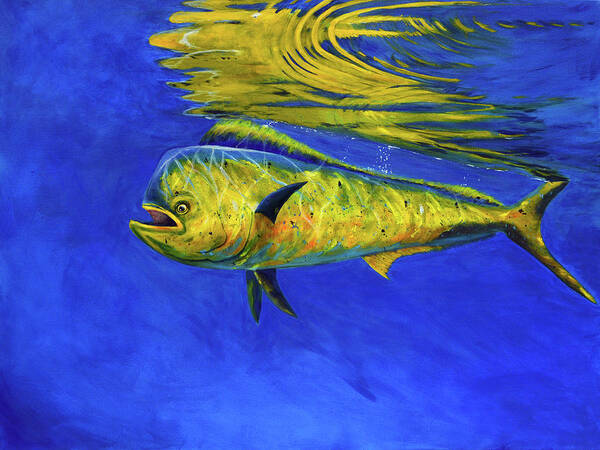 Mahi Mahi Art Print featuring the painting Mahi Mahi Fish by Donna Tucker