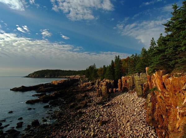 Acadia National Park Art Print featuring the photograph Maine Rocky Coast by Juergen Roth