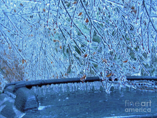 Malibu Icicles Art Print featuring the photograph Malibu Icicles by Rockin Docks Deluxephotos