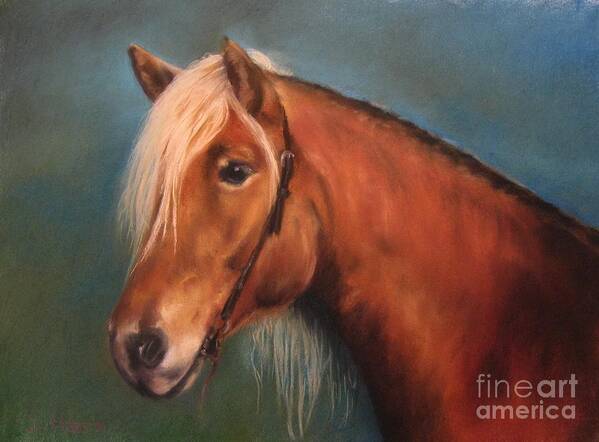 Horse Art Print featuring the painting Mariella by Sabina Haas