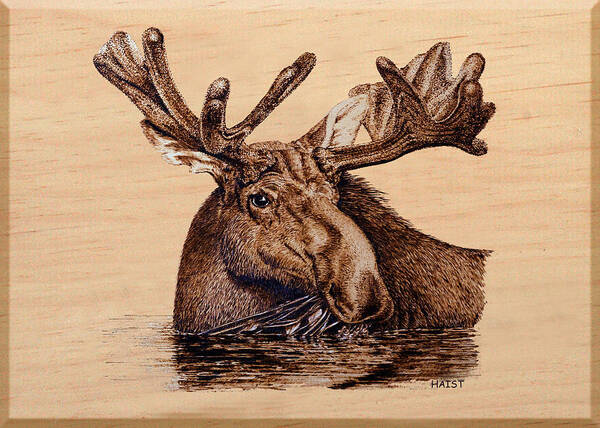 Moose Art Print featuring the pyrography Marsh Moose by Ron Haist