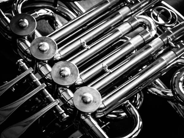 French Horn Art Print featuring the photograph Mechanical Sound by Stacy Michelle Smith