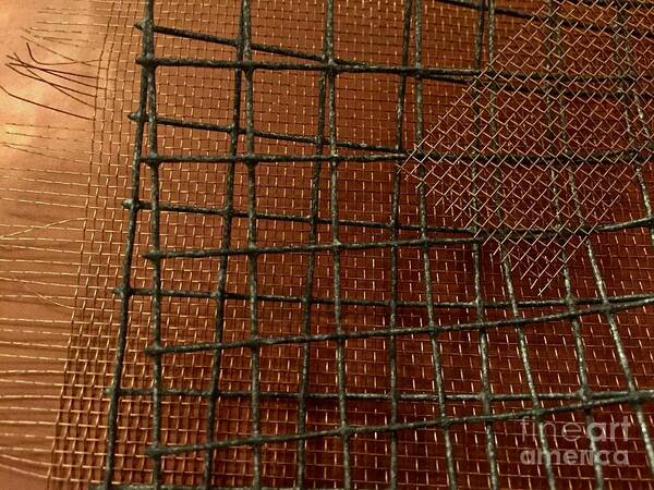 Collage Copper Brass Screening Wire Grid Art Print featuring the photograph Mesh and Copper Series 1-1 by J Doyne Miller