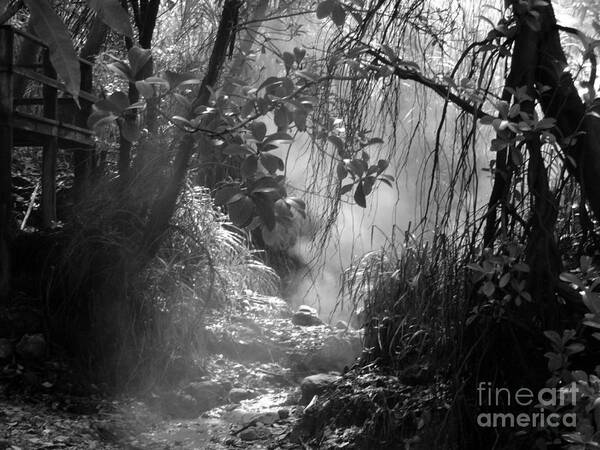 Mysterious Art Print featuring the photograph Mist In The Jungle by Susan Lafleur