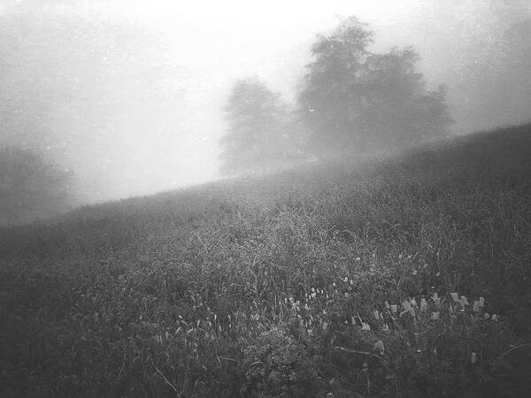 Mist Art Print featuring the digital art Misty Hill by Kevyn Bashore