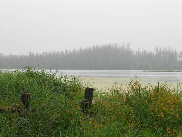 Morning Mist Art Print featuring the photograph Misty Lake by Marilyn Smith