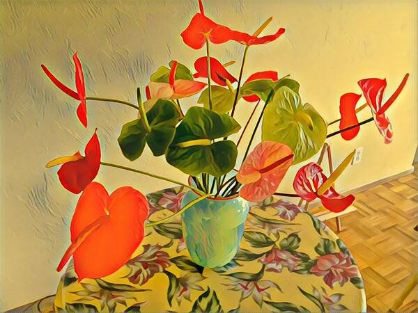 #flowersofaliha #anthuriums Art Print featuring the photograph Mixed Aloha Anthuriums Matisse by Joalene Young