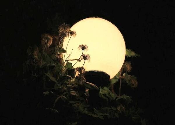 Art Art Print featuring the digital art Moonglow Thistles by Charmaine Zoe