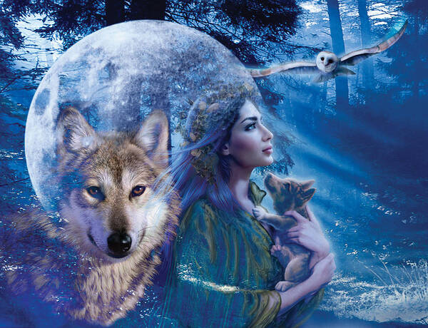 Wolf Art Print featuring the photograph Moonlit Brethren Variant 1 by MGL Meiklejohn Graphics Licensing
