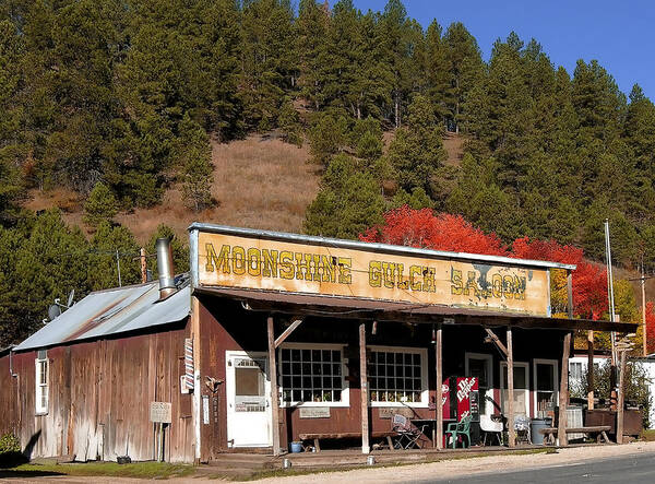 Black Hills Art Print featuring the photograph Moonshine Gulch by Richard Stedman