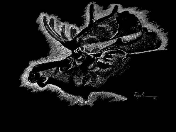 Wildlife Art Print featuring the drawing Moose by Lawrence Tripoli