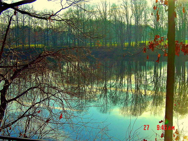 Lakeview Art Print featuring the photograph Morning On Farrington Lake by Aron Chervin