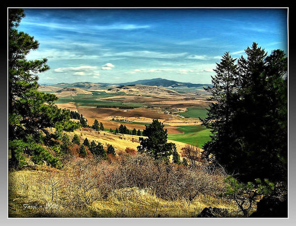 Moscow Art Print featuring the photograph Moscow Mountain from Kamiak Butte by Farol Tomson