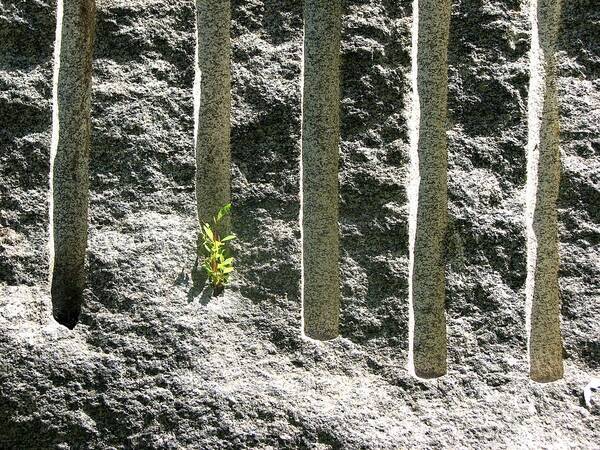 Stone Art Print featuring the photograph Natural and Unnatural Accents by Ben Freeman