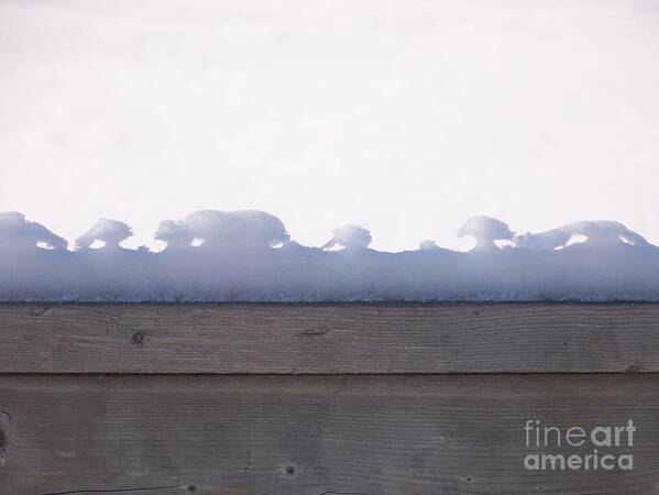 Snow Art Print featuring the photograph Nature's Tiny Snowscape by Jackie Mueller-Jones
