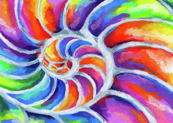 Nautilus Art Print featuring the painting Nautilus Curves by Stephen Anderson