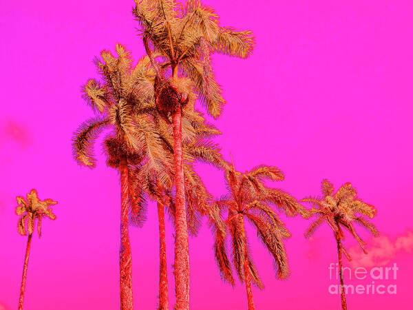 Pop Art Art Print featuring the photograph Neon Tropics by Onedayoneimage Photography