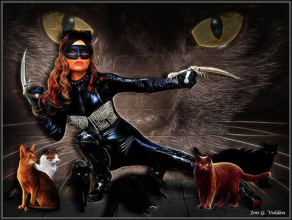 Cat Woman Art Print featuring the photograph Night Of The Strays by Jon Volden