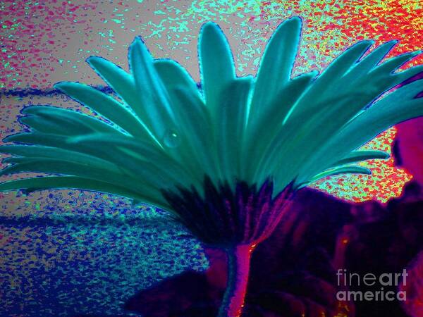 Abstract Flower Art Print featuring the photograph Night Vision by Diana Chason