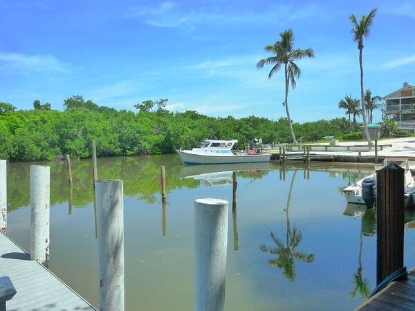 Tropic Art Print featuring the photograph North Captiva Charm by Florene Welebny