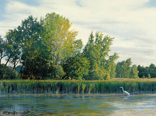 Great Egret Art Print featuring the drawing North of the Grade-Great Egret by Bruce Morrison