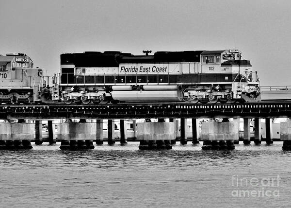 Not All Aboard Florida Art Print featuring the photograph Not All Aboard by Lisa Renee Ludlum