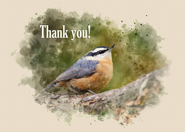 Thank You Art Print featuring the mixed media Nuthatch Watercolor Thank You Card by Christina Rollo