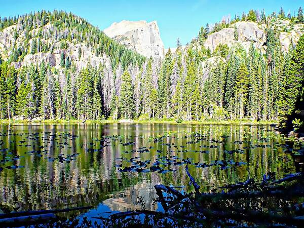 United States Art Print featuring the photograph Nymph Lake and Flattop Mountain by Joseph Hendrix