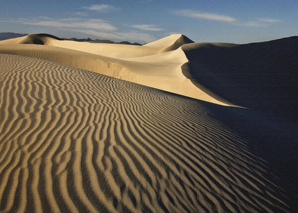Landscape Art Print featuring the photograph Oceano Dunes by Sharon Foster