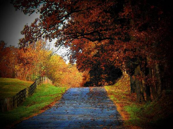 Autumn Art Print featuring the photograph October Road by Joyce Kimble Smith
