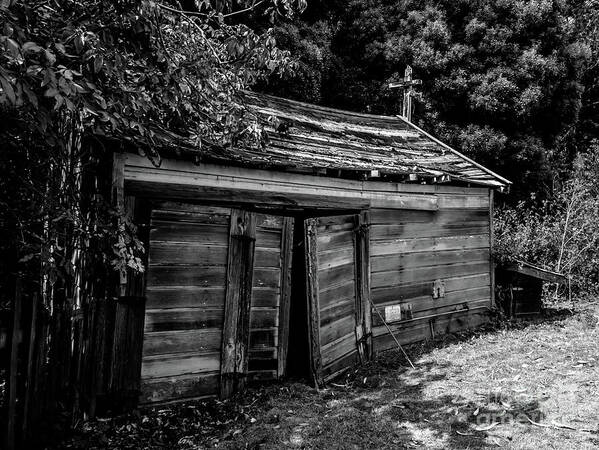Black And White Art Print featuring the photograph Old Abandoned Shed Fort Ross in Black and White by Blake Webster