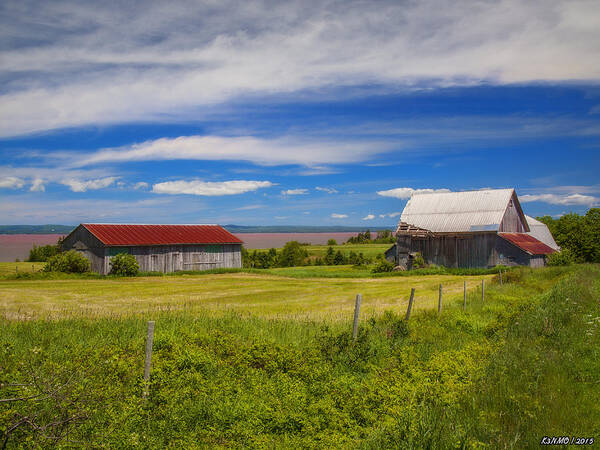 Rural Art Print featuring the photograph Old Barns at Burntcoat Head by Ken Morris