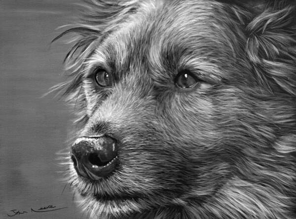 Dog Art Print featuring the painting Old Charlie by John Neeve