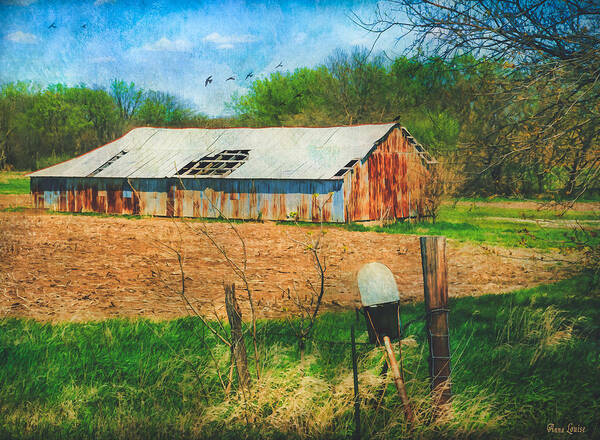 Barn Art Print featuring the photograph Old Rusty Tin Barn and Mailbox by Anna Louise