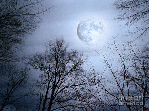 Nature Art Print featuring the photograph On A Stormy Moonlit Night by Dorothy Lee
