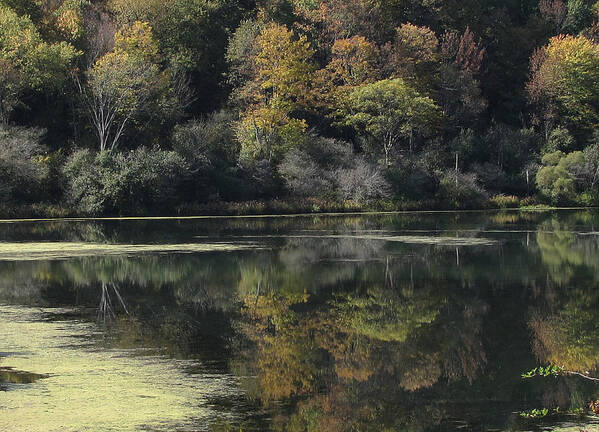 Landscape Art Print featuring the photograph On Lethe's Bank by Char Szabo-Perricelli