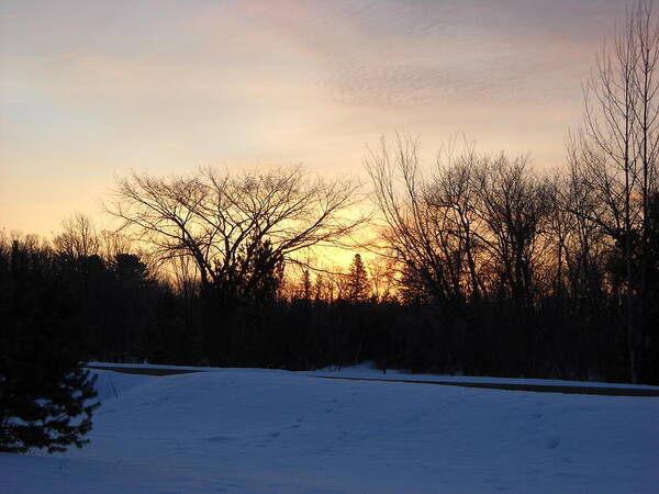 Sky Art Print featuring the photograph Orange Dawn Sky behind Trees by Kent Lorentzen