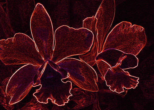 Orchids Art Print featuring the digital art Orchids - For Pele by Kerri Ligatich