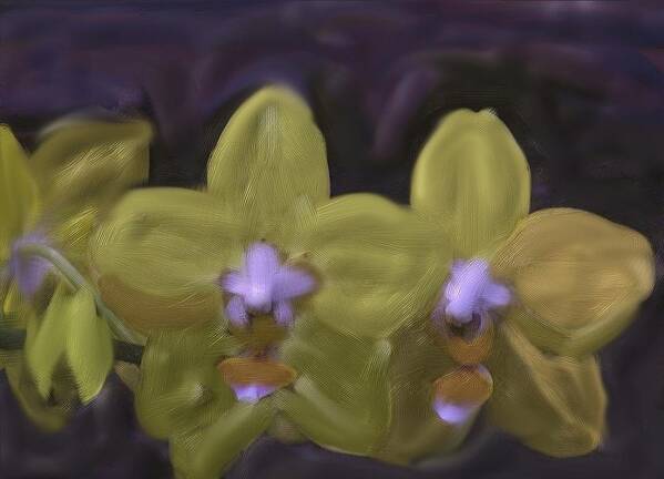 Orchids Art Print featuring the digital art Orchids Golden by Alice Terrill