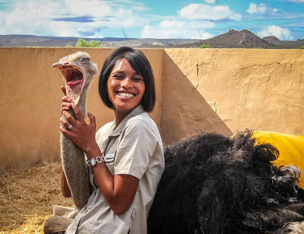 100217 Rep South Africa Expedition Art Print featuring the photograph Ostrich Lecture by Gregory Daley MPSA