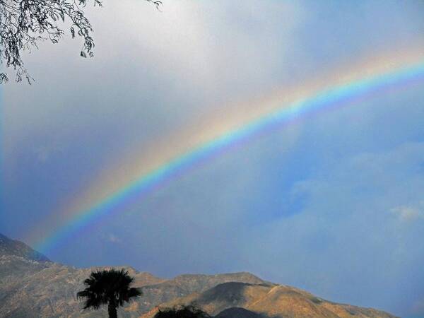 Palm Springs Art Print featuring the photograph Over The Rainbow 1 by Ron Kandt